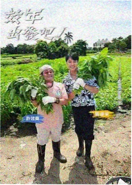 笑场计划 脱口秀综艺在线观看