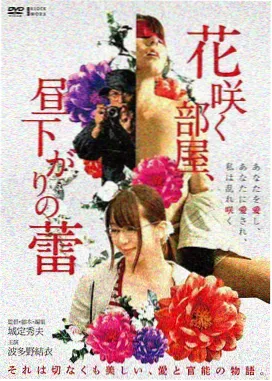 北纬三十七度 推荐